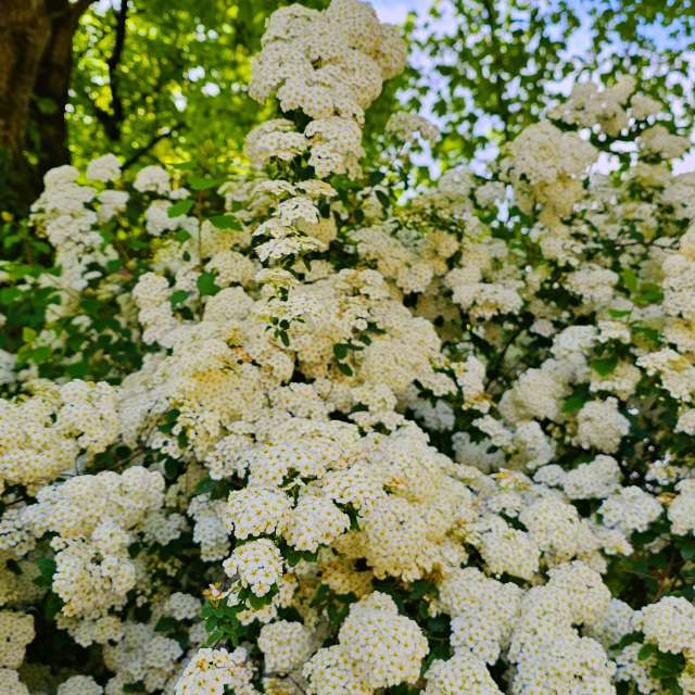 Pot. Weather forecasts with beautiful photos by Seni Photos in Velbert