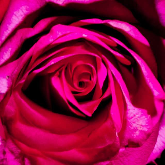 Wettervorhersagen mit schönen Fotos von Terraza74