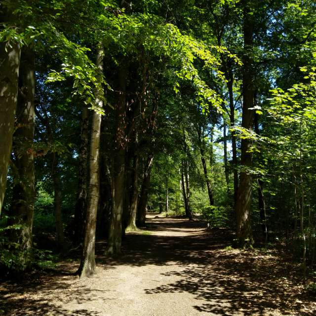 Fotos Clima. Previsões do tempo com lindas fotos de Kastramania em Freiberga