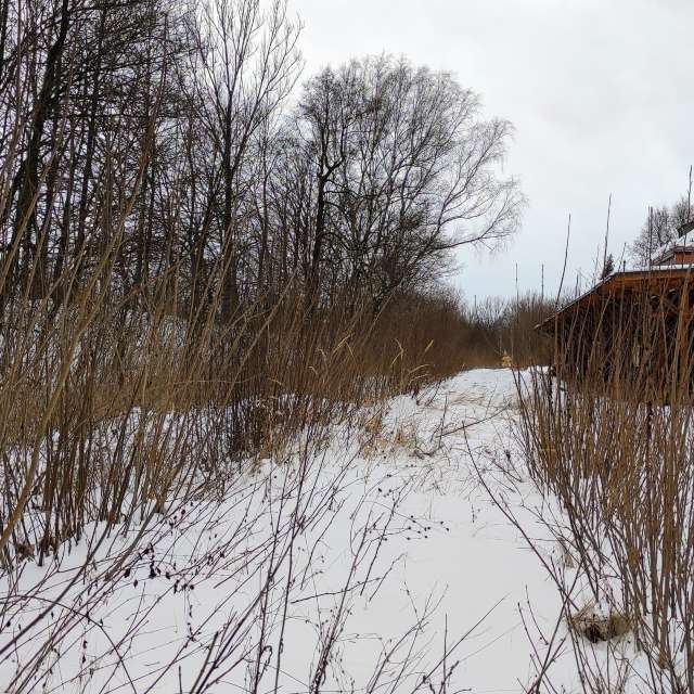 Reisen. Wettervorhersagen mit schönen Fotos von Kripo Fotos Ladek Zdroj