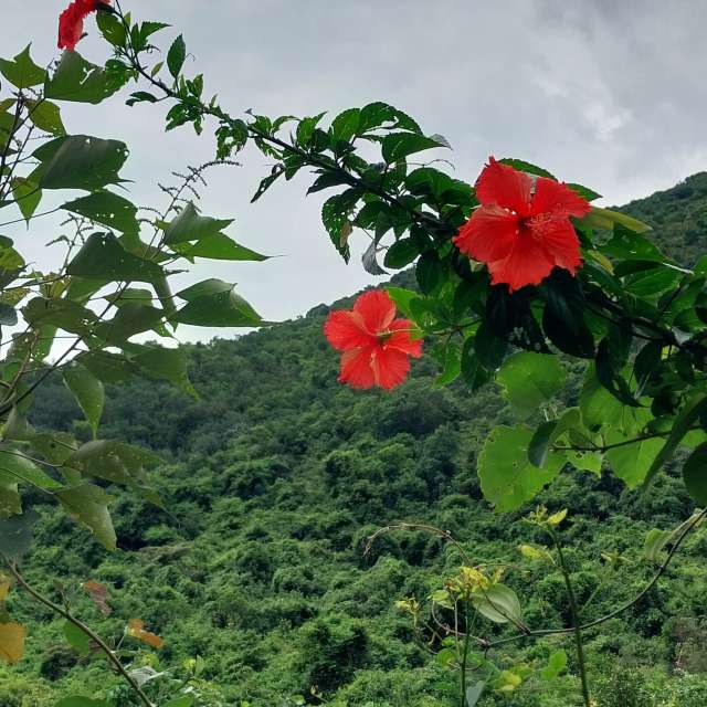 Weather forecasts with beautiful photos by Vladimir70