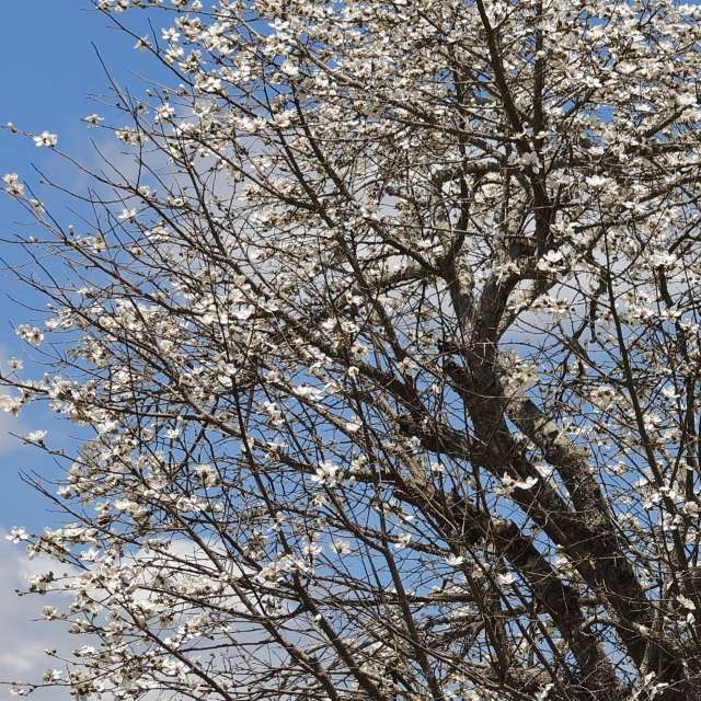 Feld. Wettervorhersagen mit schönen Fotos von VIAꓨEM_E_HISTÓЯIA Fotos Florianópolis