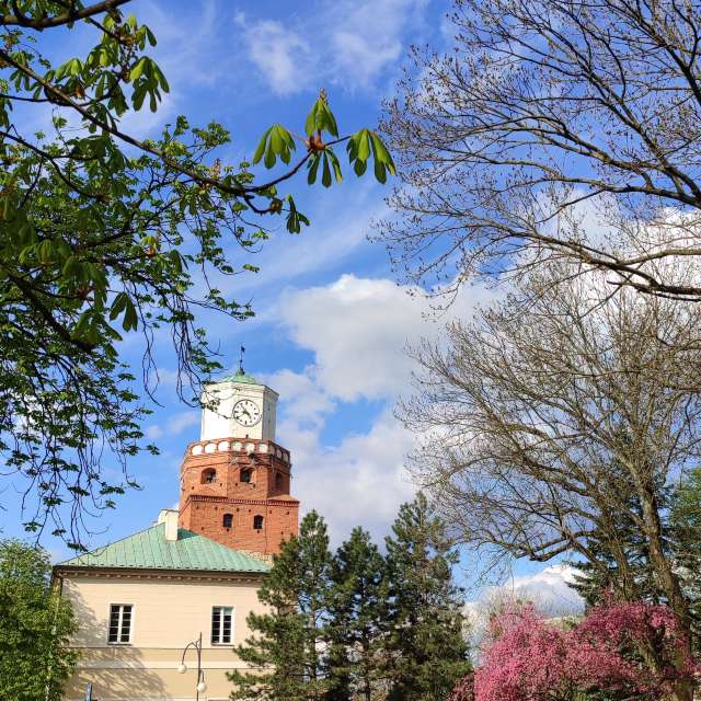 Tree. Weather forecasts with beautiful photos by Romek58 Photos in Wieluń