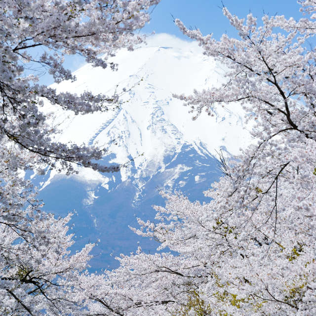 Pronósticos del tiempo con hermosas fotos de Masahiro Tsurugi