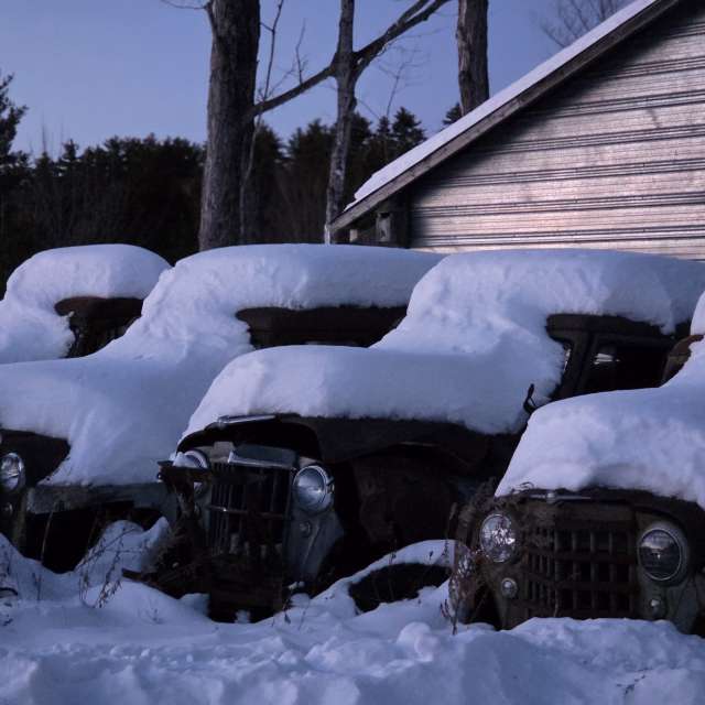 Pronósticos del tiempo con hermosas fotos de imamoonpuppy