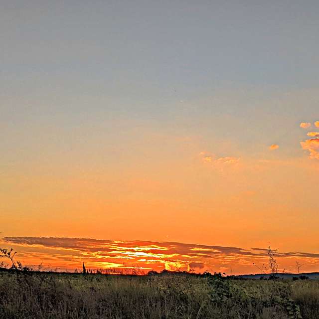 Grass. Weather forecasts with beautiful photos by tony5636 Photos in Calvisson