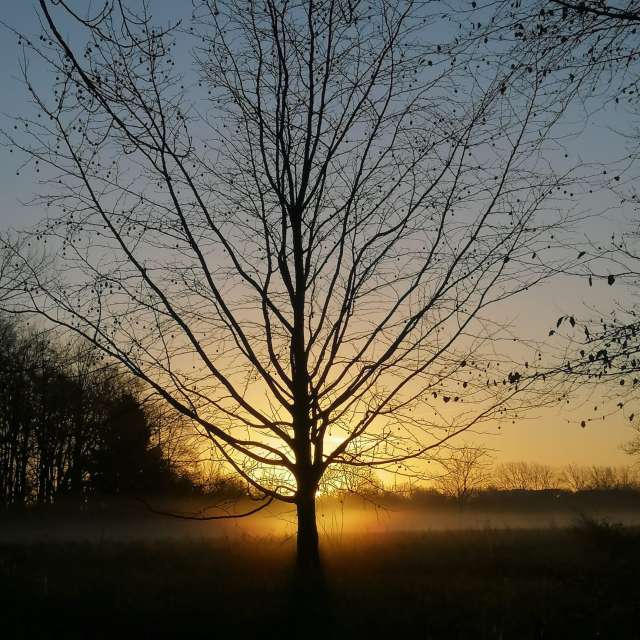 Weather forecasts with beautiful photos by DaB