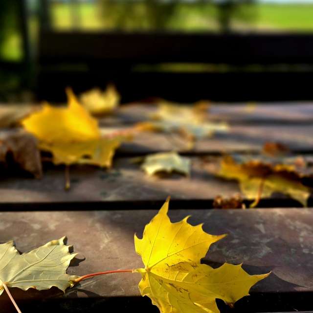 Jesen. Wettervorhersagen mit schönen Fotos von Hela Fotos Bayern