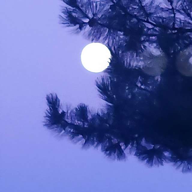 Wettervorhersagen mit schönen Fotos von KevinG