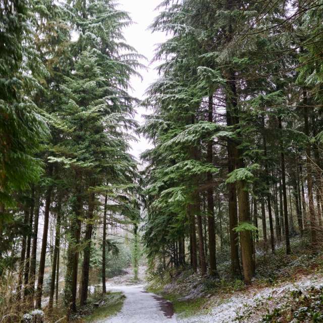 Fotos Trilha. Previsões do tempo com lindas fotos de Seni em Velbert