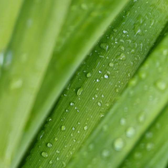 Photos Banc. Prévisions météo avec de superbes photos de Miloš_SK de Sereď