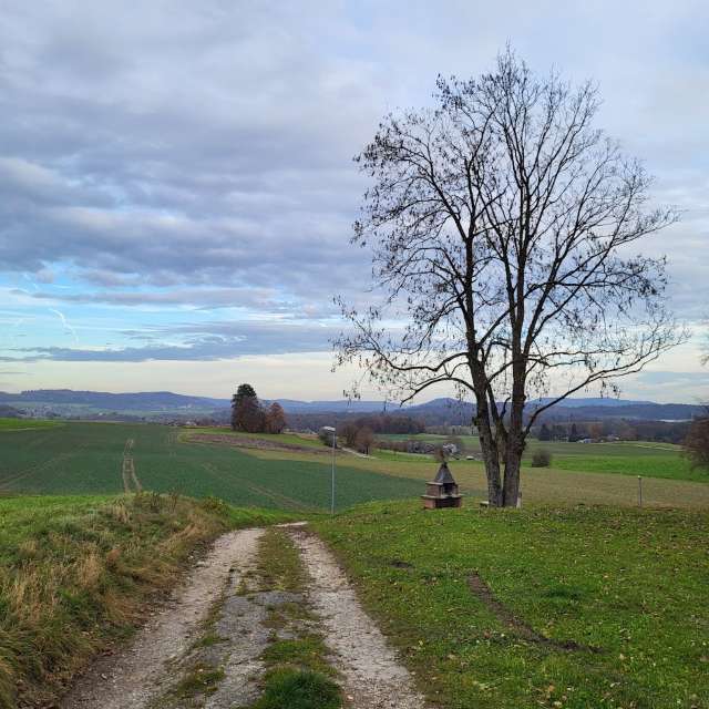Weather forecasts with beautiful photos by aida-khaldi
