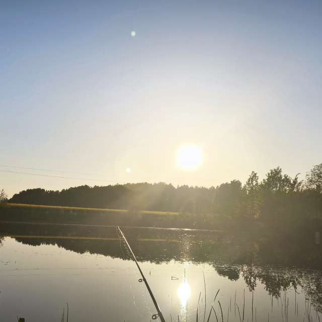 Pond. Weather forecasts with beautiful photos by Valiukas Photos in Lithuania