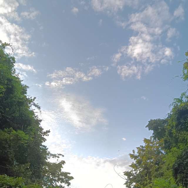 Fotos del Caballo. Pronósticos del tiempo con hermosas fotos de YanBog en București