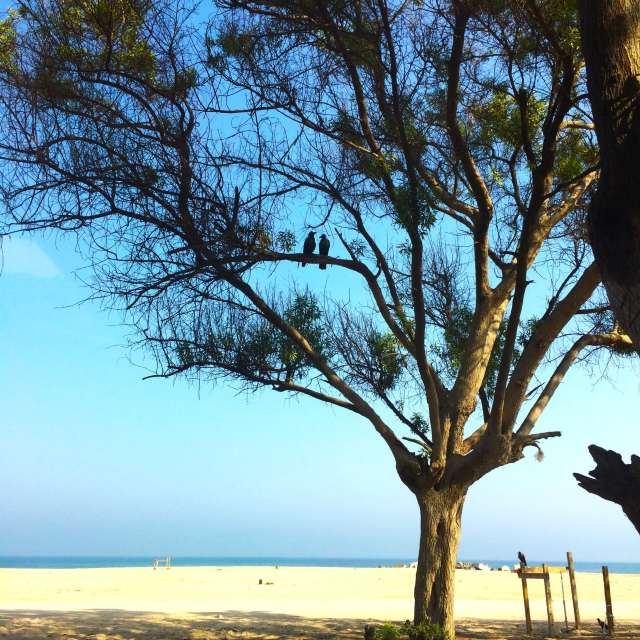 Pronósticos del tiempo con hermosas fotos de phantran