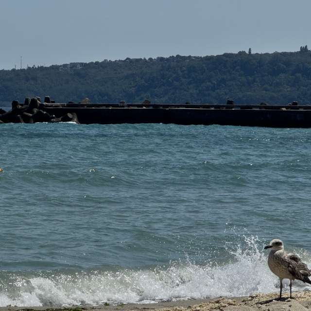 Prévisions météo avec de superbes photos de Sonia