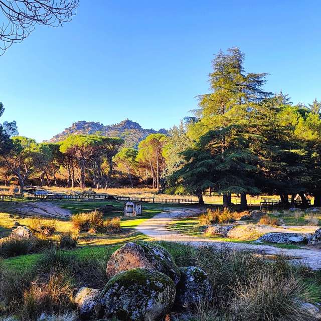 Grassy. Weather forecasts with beautiful photos by Enylu Photos in World