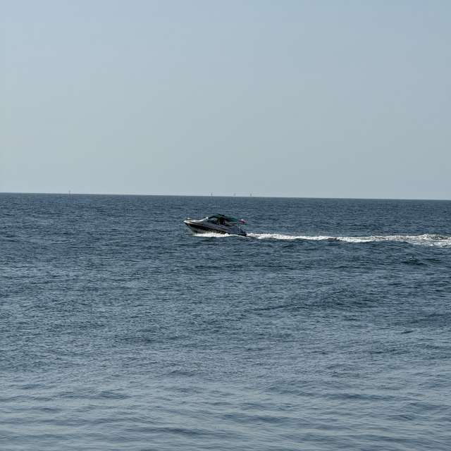 天气预报，带man-of-the-sea-and-land精美的照片