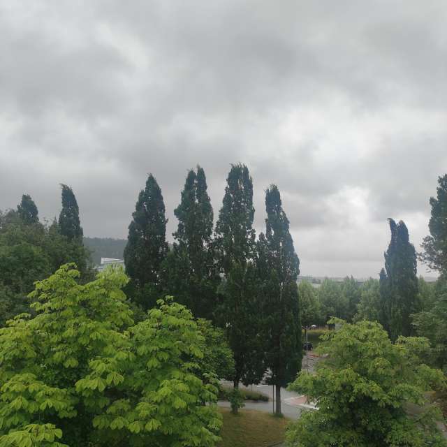 Hill. Weather forecasts with beautiful photos by Tercis Photos in Ettlingen