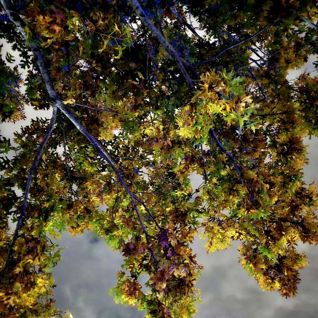 View. Weather forecasts with beautiful photos by jJaycox Photos in World