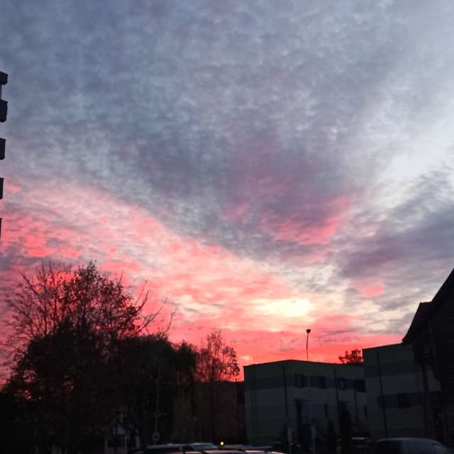 天气预报，带Helo_Sam精美的照片