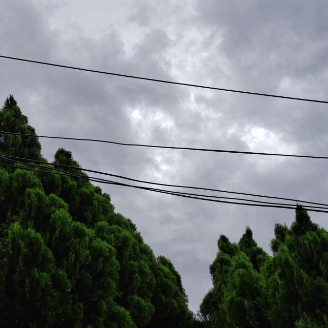 Fotos Ferrovia. Previsões do tempo com lindas fotos de Wen-ya Huang em Kaohsiung City