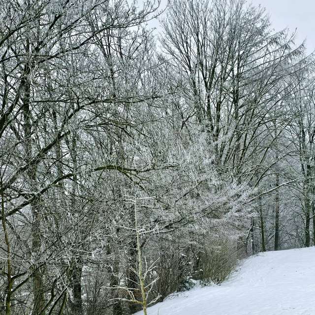 Photos Croix. Prévisions météo avec de superbes photos de Seni de Velbert