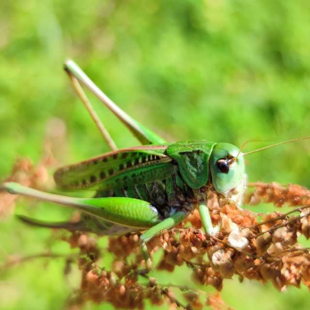 Pronósticos del tiempo con hermosas fotos de Maryous