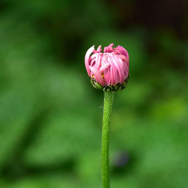 Weather forecasts with beautiful photos by 1stEyeFocused