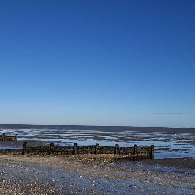 Lolliの美しい写真による天気予報