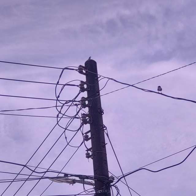 Fotos Rua. Previsões do tempo com lindas fotos de Wen-ya Huang em Kaohsiung City