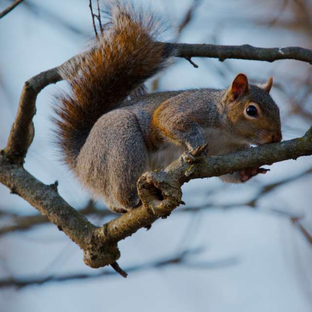 Dự báo thời tiết với những bức ảnh đẹp của krantzjh