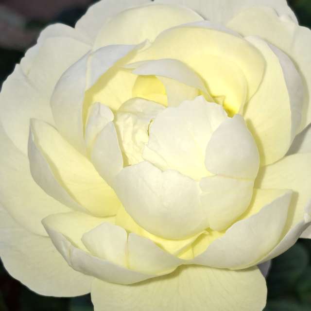 Prévisions météo avec de superbes photos de Wen-ya Huang