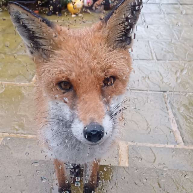 世界の天気写真. Lolliの美しい写真による天気予報