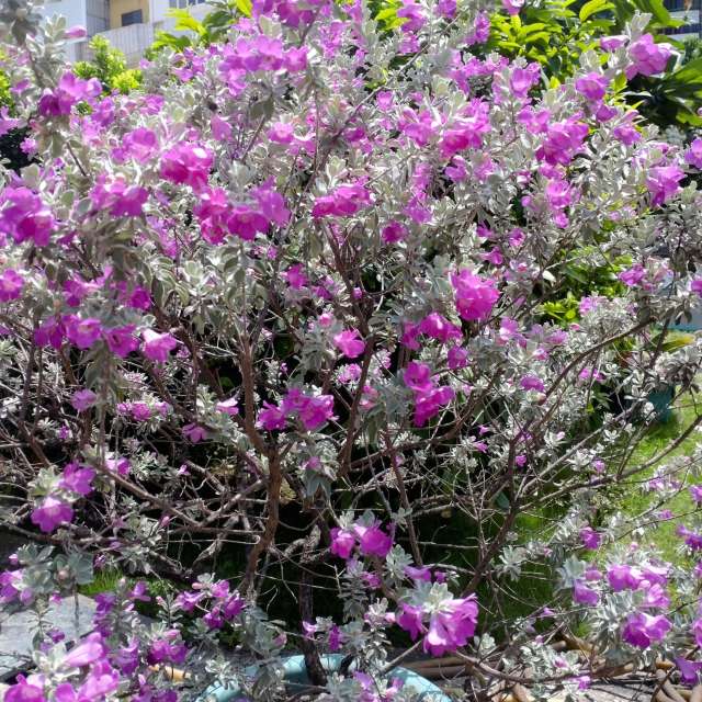 Photos Banc.banc. Prévisions météo avec de superbes photos de Wen-ya Huang de Kaohsiung