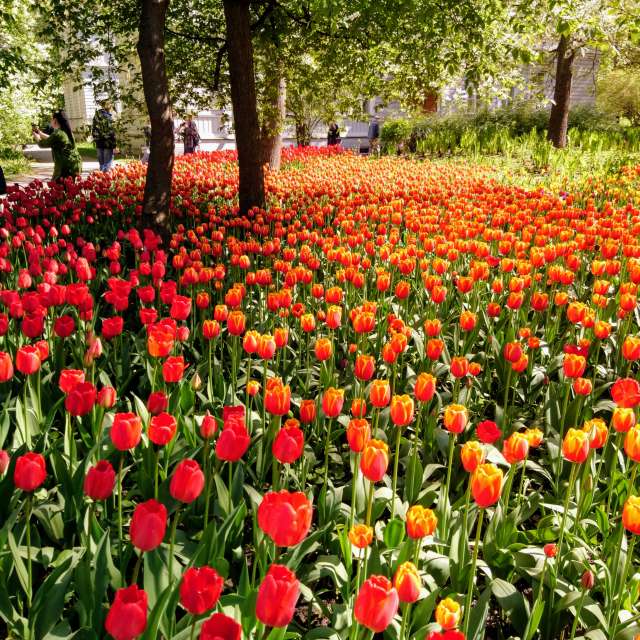 Weather Photos in World. Weather forecasts with beautiful photos by Jea