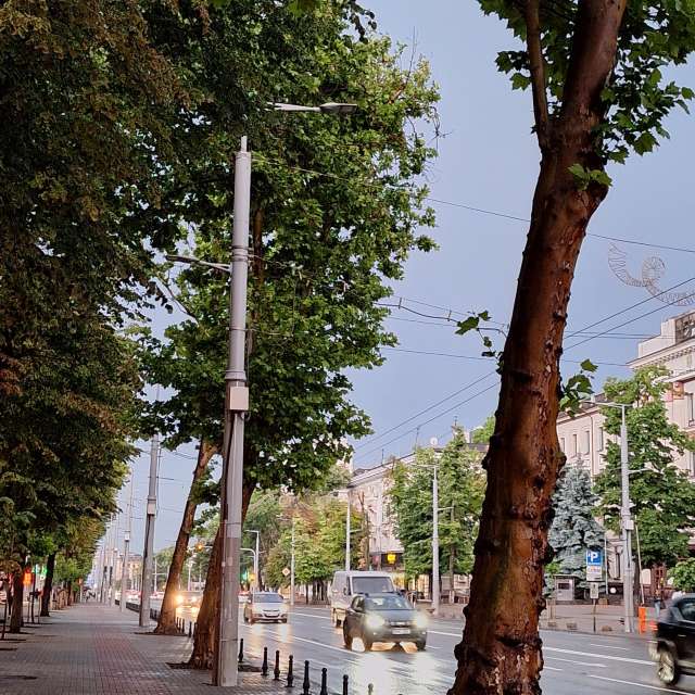 Prévisions météo avec de superbes photos de ana.mb.alex