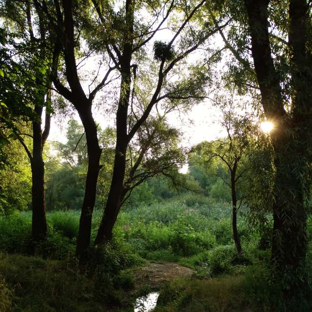 Herd. Weather forecasts with beautiful photos by Михаил Гавриков Photos in Kharkiv