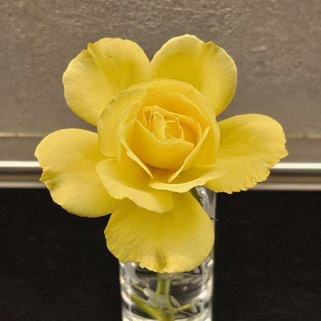 Weather forecasts with beautiful photos by Rosa