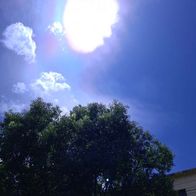 Fotos Jogando. Previsões do tempo com lindas fotos de Wen-ya Huang em Kaohsiung City