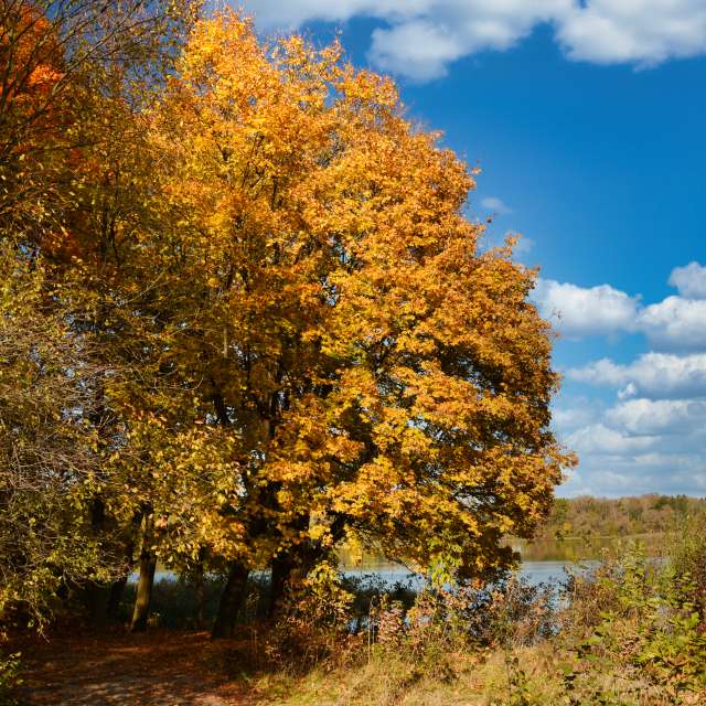 Weather forecasts with beautiful photos by Andrie