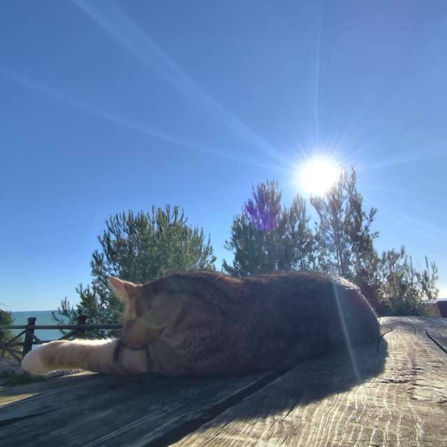 Прогнозы погоды с чудесными фотографиями, сделанными Brtd