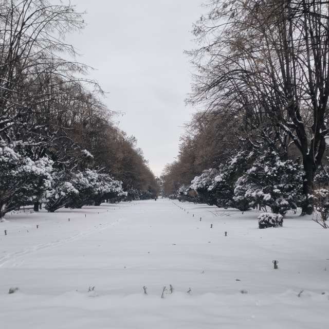 Previsões do tempo com lindas fotos de YanBog