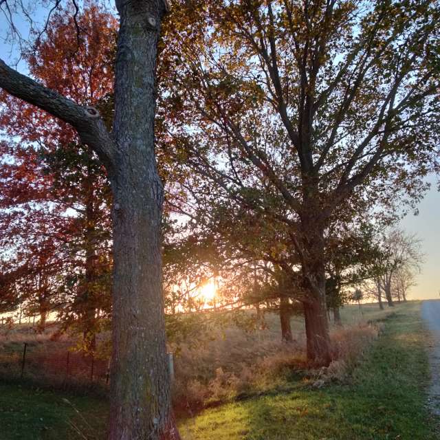 Weather forecasts with beautiful photos by Kate72