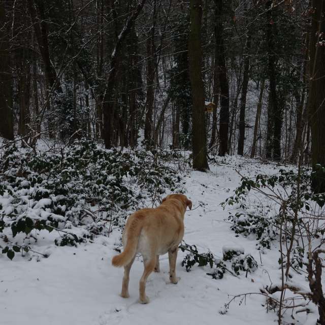 Fotos Caminho. Previsões do tempo com lindas fotos de Vasek325 em Praha 4