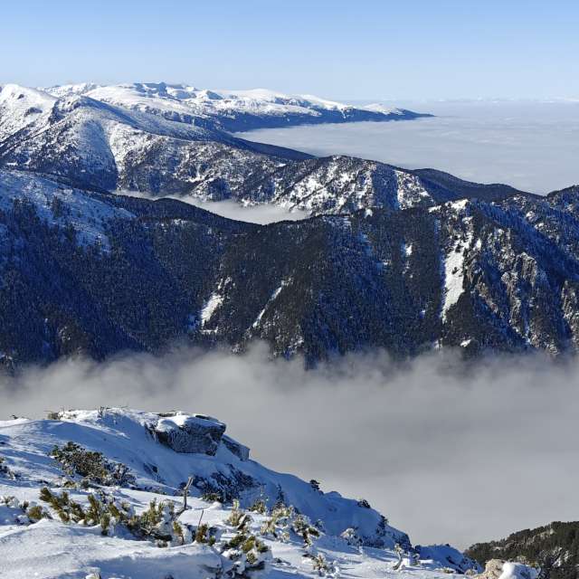 天气预报，带Rosiii精美的照片