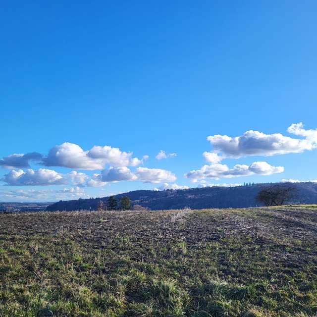 aida-khaldiの美しい写真による天気予報