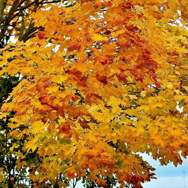 Jesen. Wettervorhersagen mit schönen Fotos von Hela Fotos Bayern