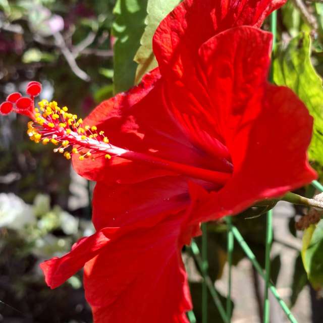 Filling. Weather forecasts with beautiful photos by Wen-ya Huang Photos in Kaohsiung City