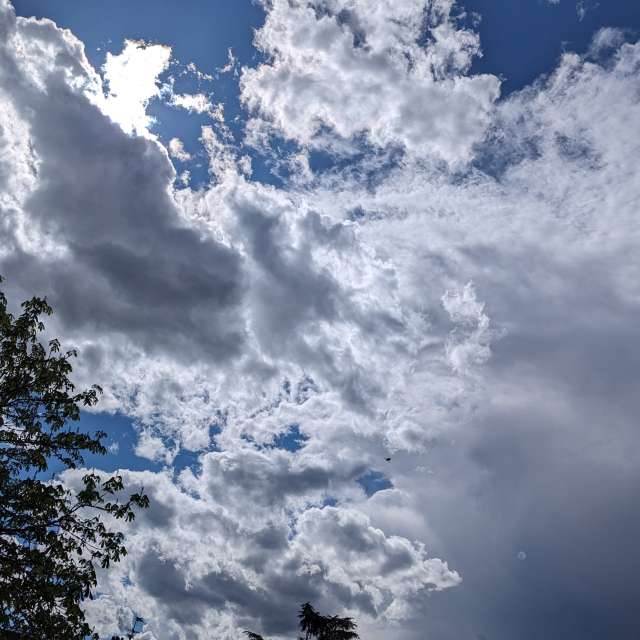 Bedeckt. Wettervorhersagen mit schönen Fotos von Roytinez31 Fotos Cugnaux